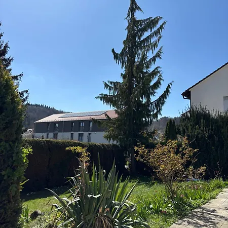 Schwabenperle Lauchheim