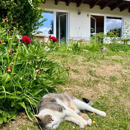 Schwabenperle 3* Lauchheim