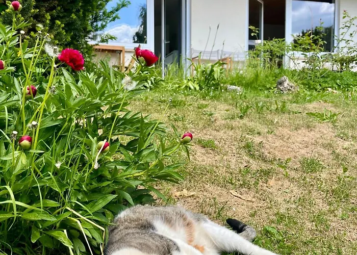 Schwabenperle 3* Lauchheim